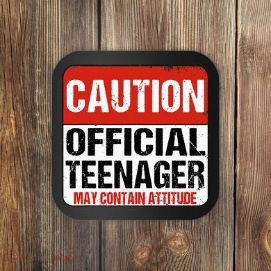 13 Birthday Caution Nager Boy 13yr 13th Birthday Coaster