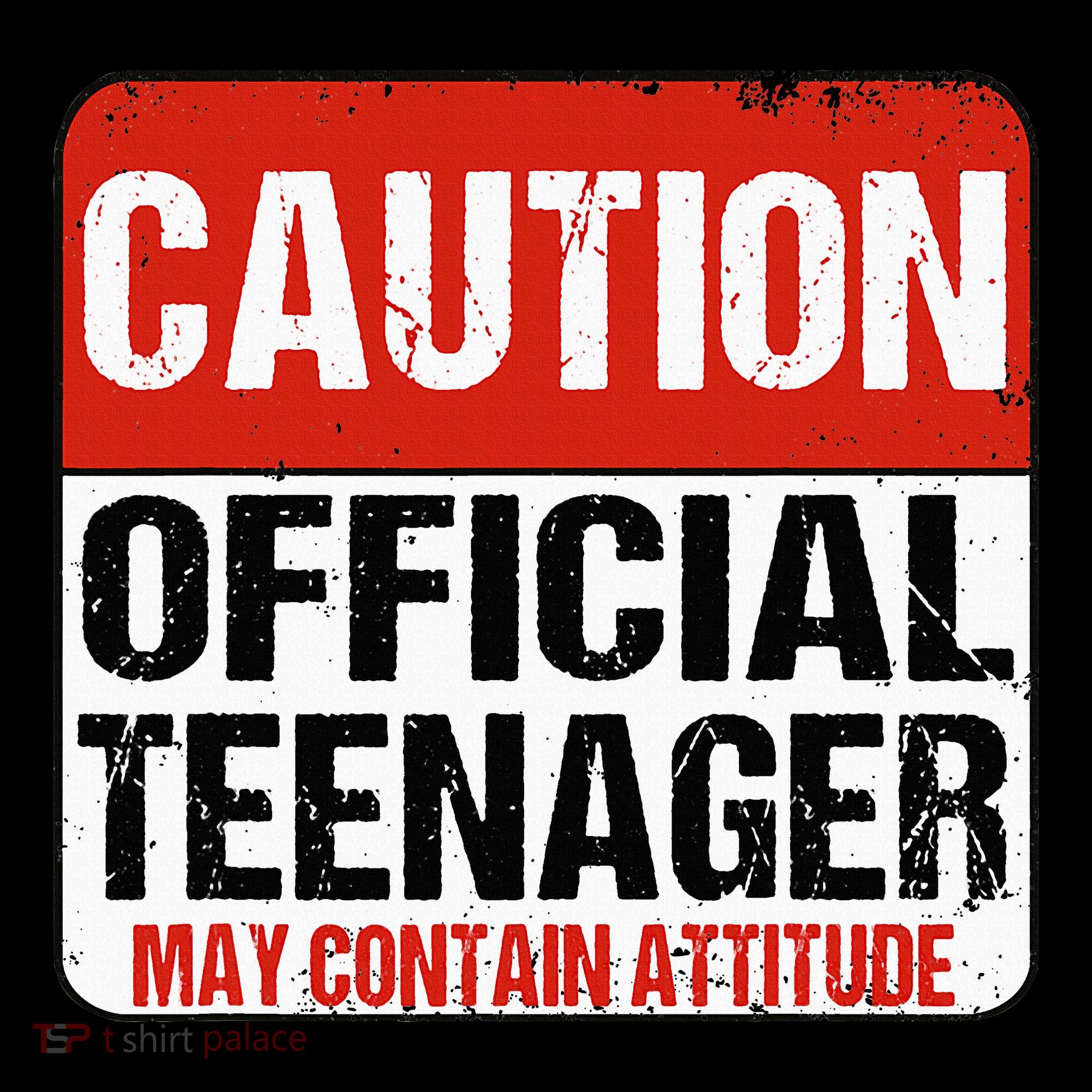 13 Birthday Caution Nager Boy 13yr 13th Birthday Women's Hoodie