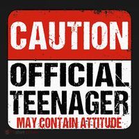 13 Birthday Caution Nager Boy 13yr 13th Birthday Mousepad thumb 1