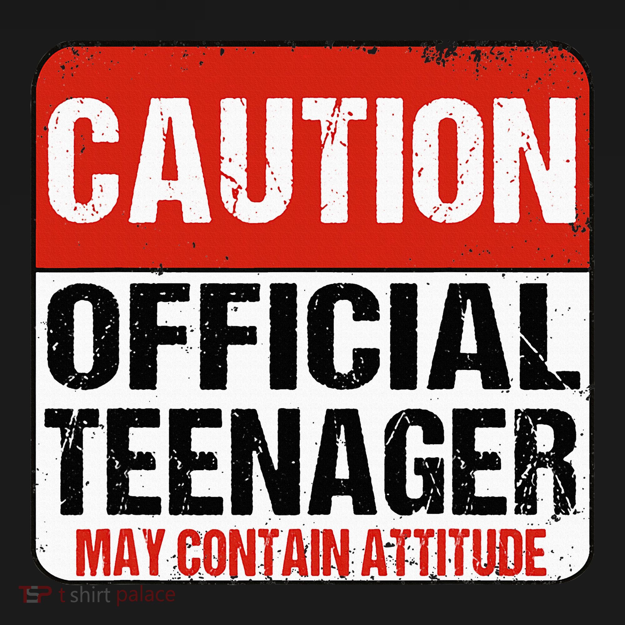 13 Birthday Caution Nager Boy 13yr 13th Birthday Women's Tank Top