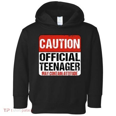 13 Birthday Caution Nager Boy 13yr 13th Birthday Toddler Hoodie