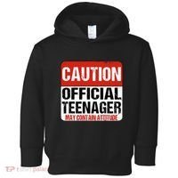 13 Birthday Caution Nager Boy 13yr 13th Birthday Toddler Hoodie thumb 0