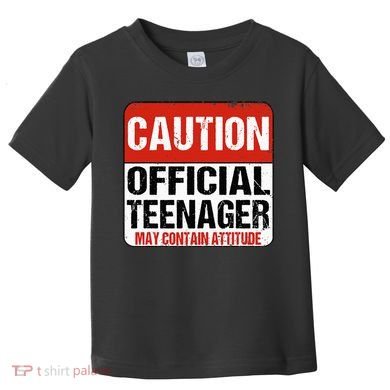 13 Birthday Caution Nager Boy 13yr 13th Birthday Toddler T-Shirt
