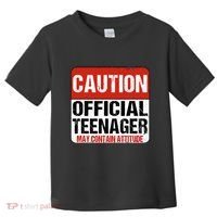 13 Birthday Caution Nager Boy 13yr 13th Birthday Toddler T-Shirt thumb 0