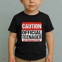 13 Birthday Caution Nager Boy 13yr 13th Birthday Toddler T-Shirt thumb 2
