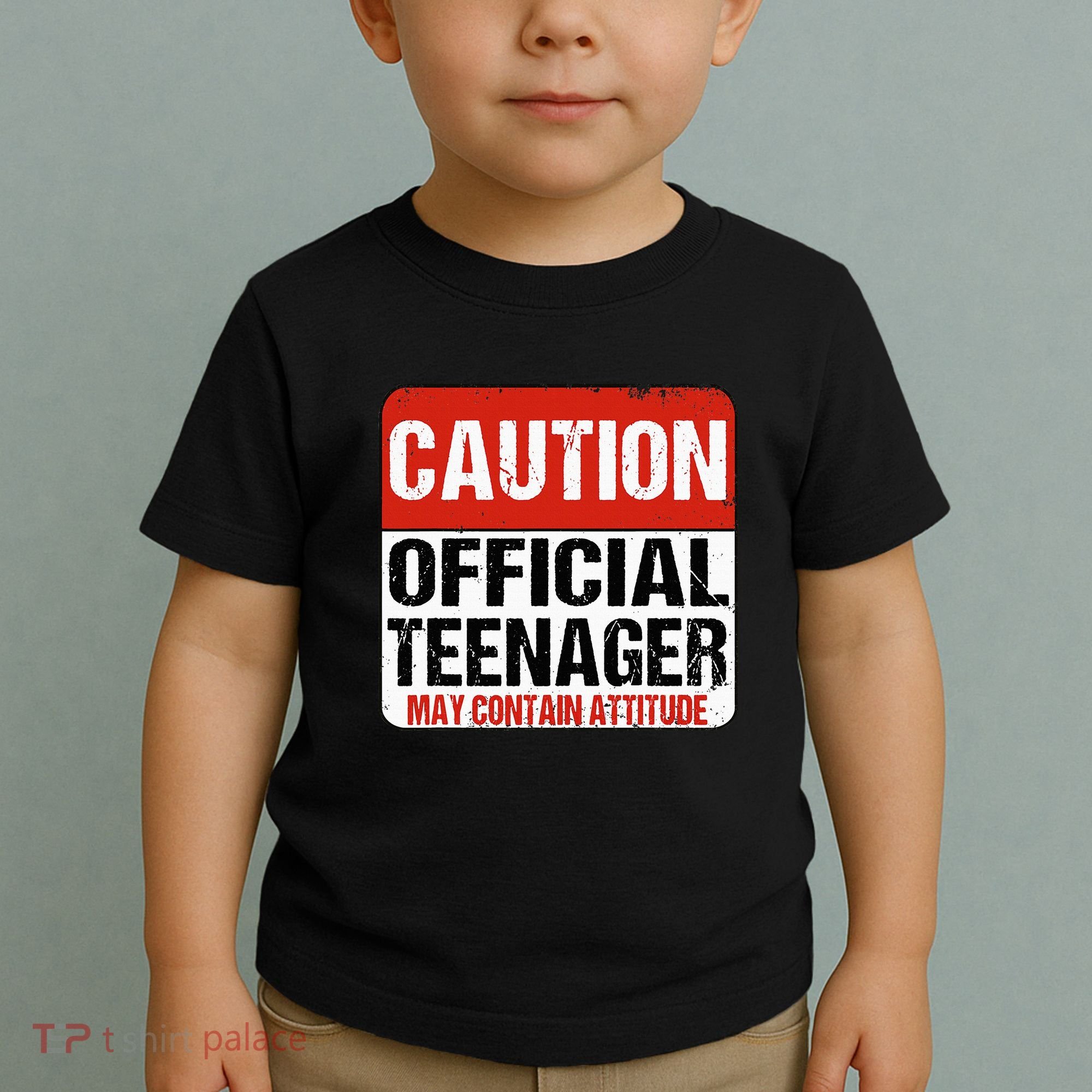 13 Birthday Caution Nager Boy 13yr 13th Birthday Toddler T-Shirt