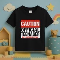 13 Birthday Caution Nager Boy 13yr 13th Birthday Toddler T-Shirt thumb 3