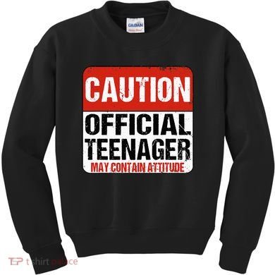 13 Birthday Caution Nager Boy 13yr 13th Birthday Kids Sweatshirt
