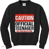 13 Birthday Caution Nager Boy 13yr 13th Birthday Kids Sweatshirt thumb 0