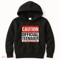 13 Birthday Caution Nager Boy 13yr 13th Birthday Kids Hoodie thumb 0