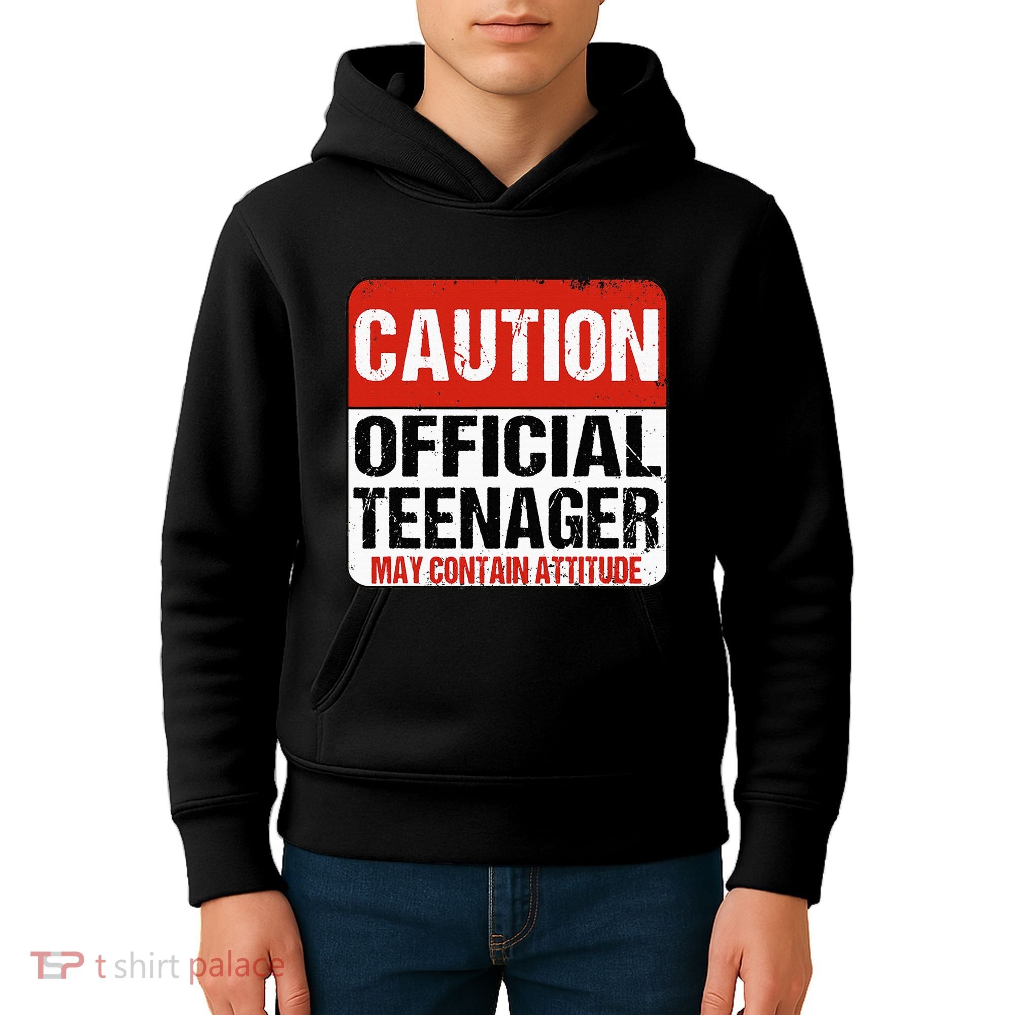 13 Birthday Caution Nager Boy 13yr 13th Birthday Kids Hoodie