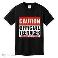 13 Birthday Caution Nager Boy 13yr 13th Birthday Kids T-Shirt thumb 0