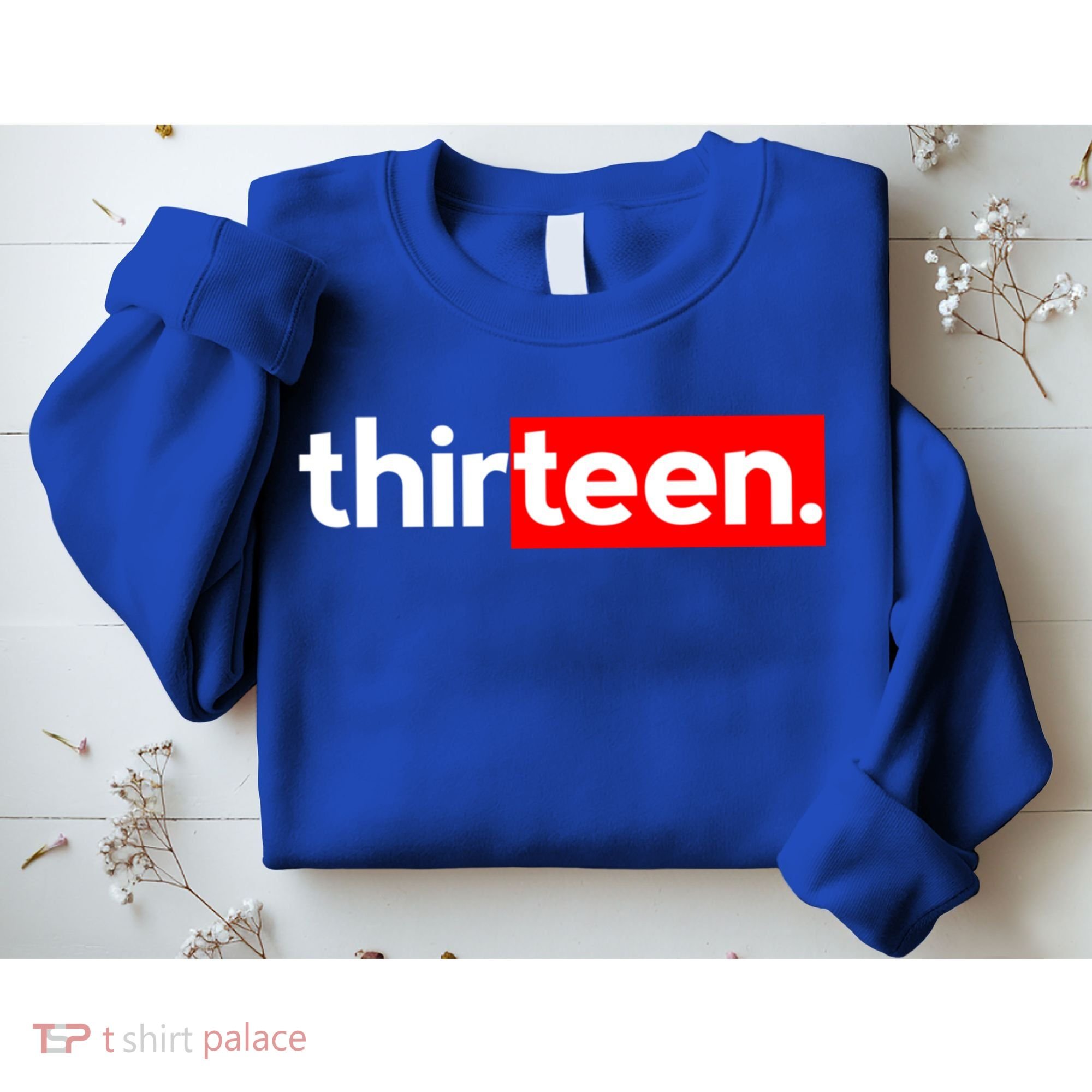 13th Birthday For Boys Thirteen Him Age 13 Year Party Teen Cute Gift Sweatshirt