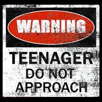 13th Birthday Fun Warning Official Teenager Do Not Approach Coffee Mug thumb 5