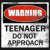 13th Birthday Fun Warning Official Teenager Do Not Approach Women's Hoodie thumb 2
