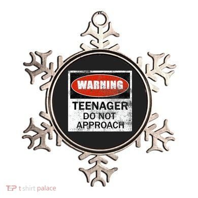 13th Birthday Fun Warning Official Teenager Do Not Approach Ornament