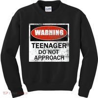 13th Birthday Fun Warning Official Teenager Do Not Approach Kids Sweatshirt thumb 0