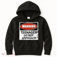 13th Birthday Fun Warning Official Teenager Do Not Approach Kids Hoodie thumb 0