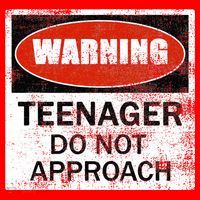 13th Birthday Fun Warning Official Teenager Do Not Approach Santa Hat thumb 1