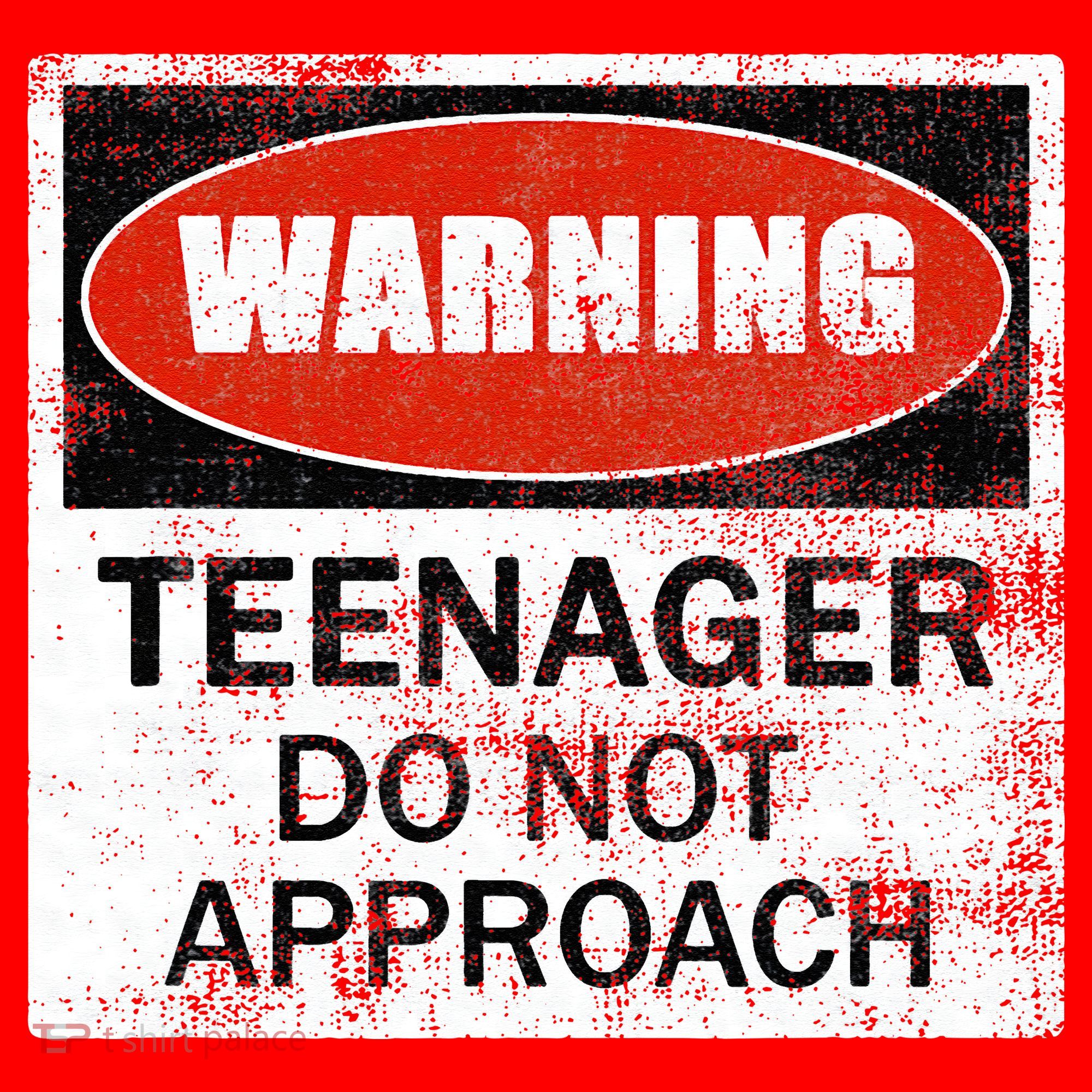13th Birthday Fun Warning Official Teenager Do Not Approach Santa Hat