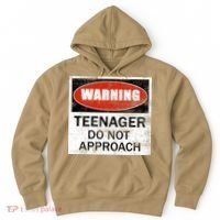 13th Birthday Fun Warning Official Teenager Do Not Approach Hoodie thumb 0