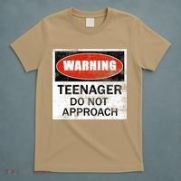 13th Birthday Fun Warning Official Teenager Do Not Approach T-Shirt thumb 5