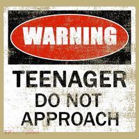 13th Birthday Fun Warning Official Teenager Do Not Approach Polo thumb 2