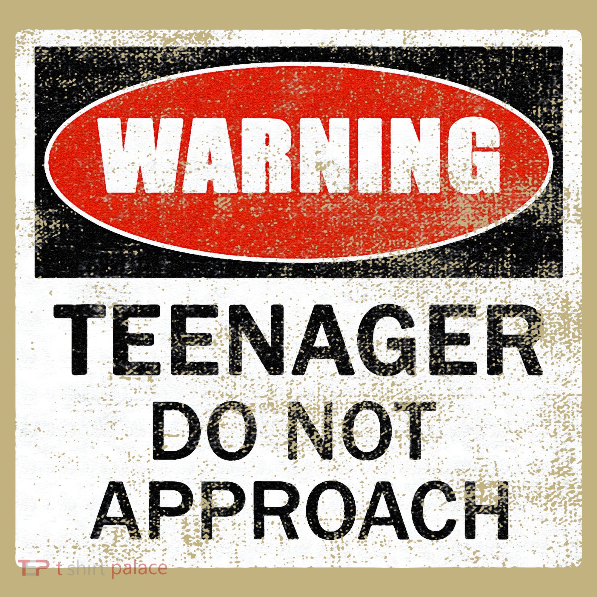 13th Birthday Fun Warning Official Teenager Do Not Approach Mousepad