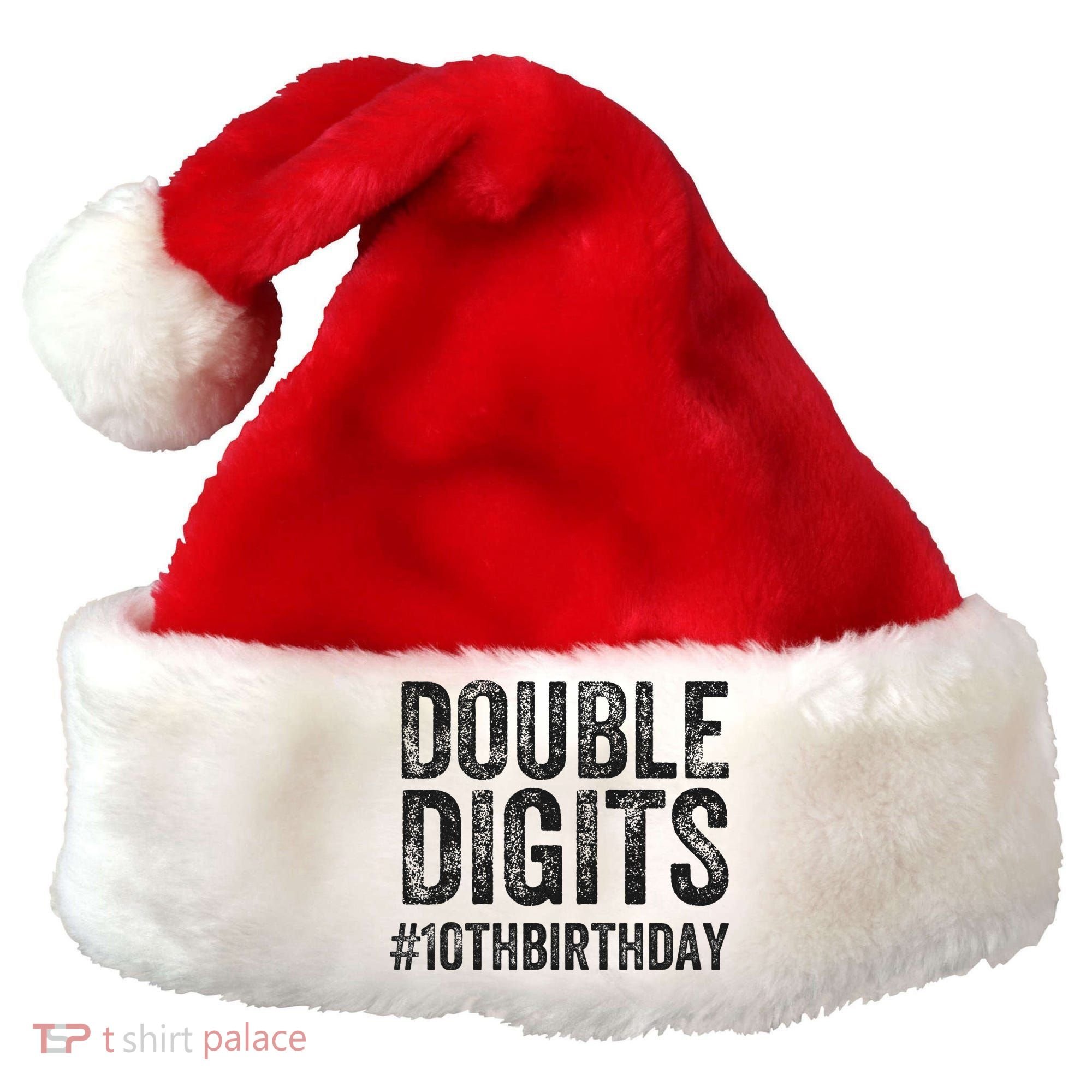 10th Birthday Gifts This  Is Now 10 Double Digits  Santa Hat