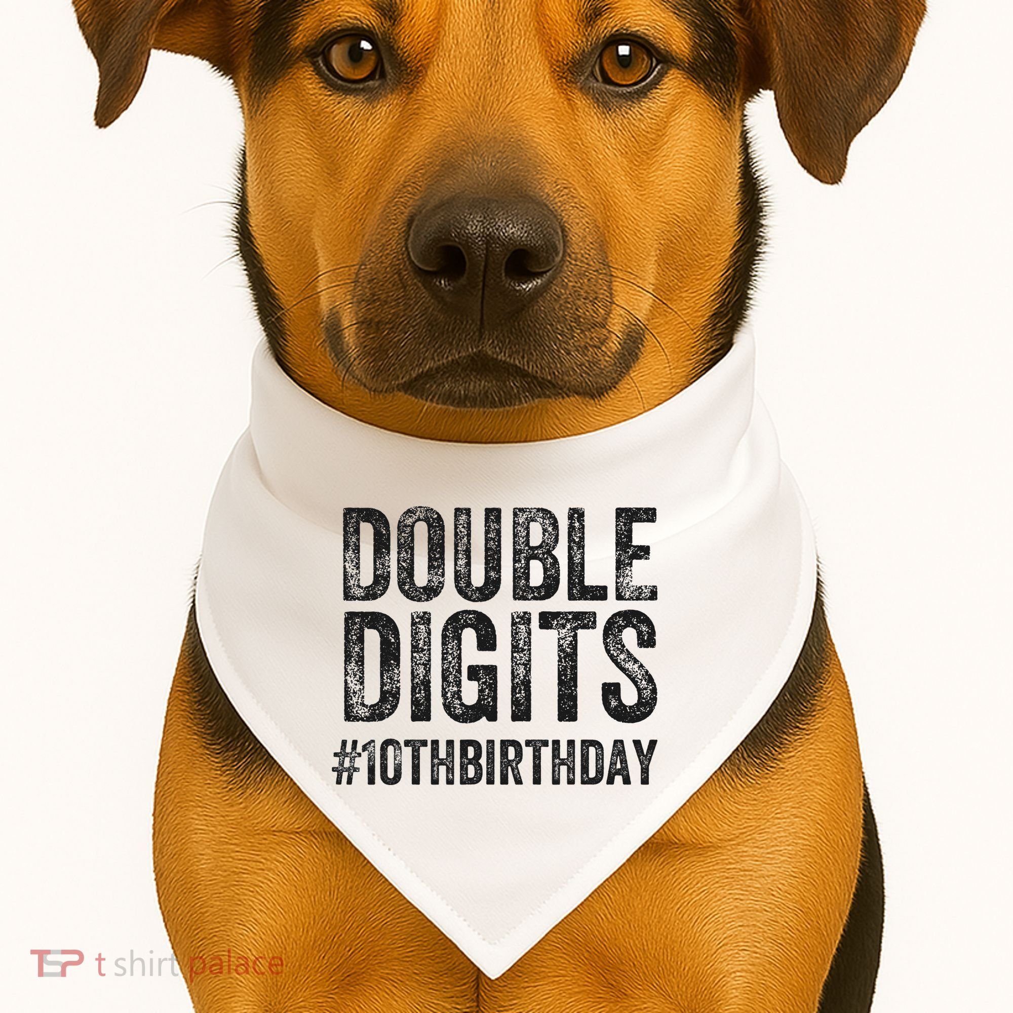 10th Birthday Gifts This  Is Now 10 Double Digits  USA-Made Doggie Bandana