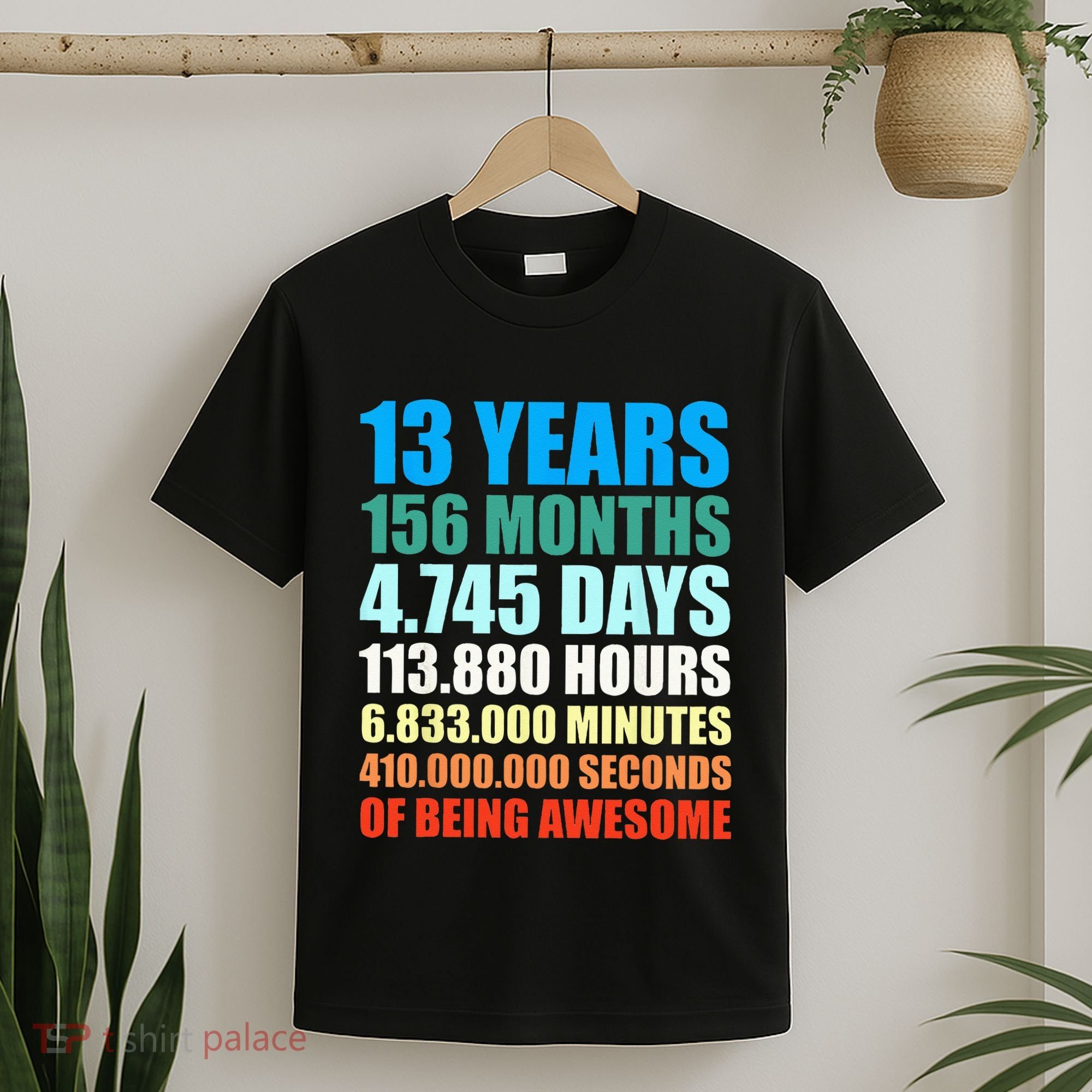 13th Birthday Gift Boy 13 Years Being Awesome T-Shirt