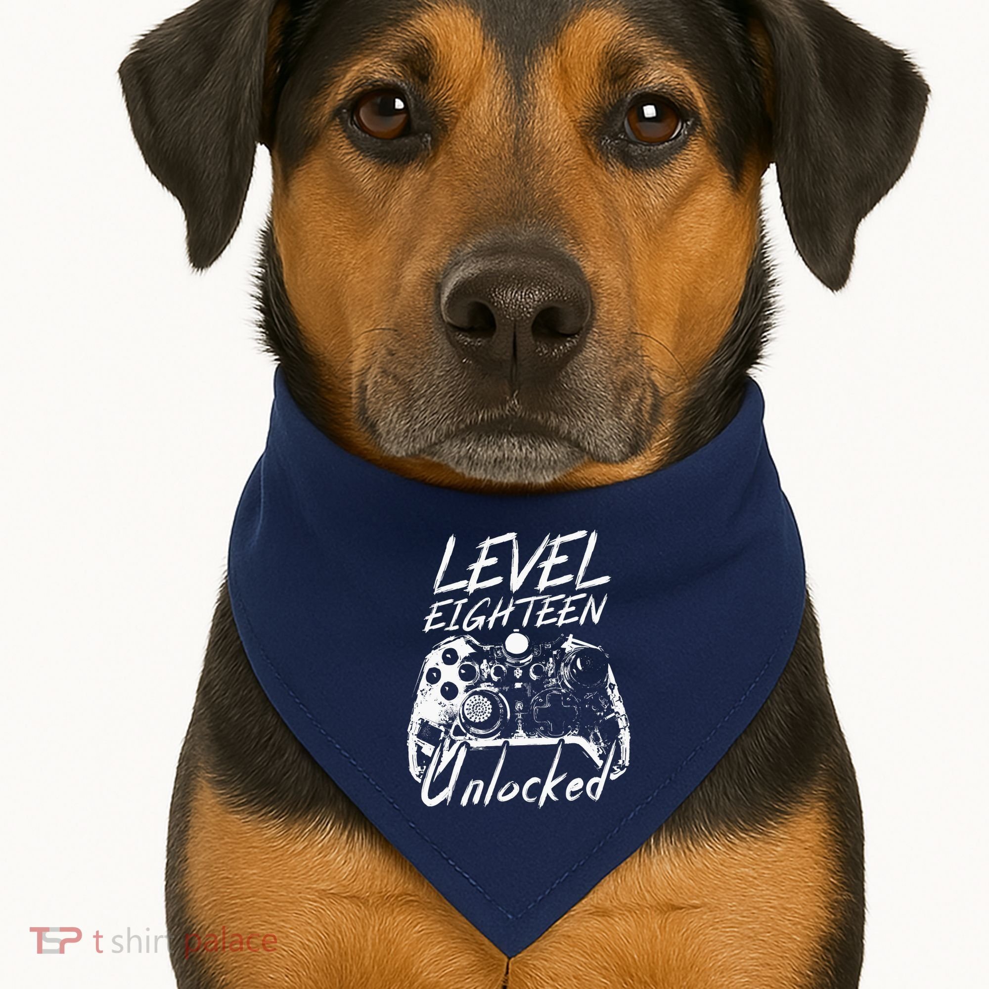 18th Birthday Gift 18 Year Old Gifts 18th Birthday USA-Made Doggie Bandana