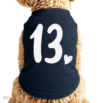 13th Birthday Heart Doggie Tank