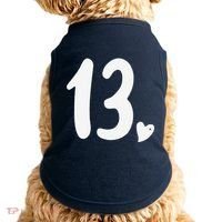 13th Birthday Heart Doggie Tank thumb 0