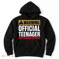 13 Birthday Official Teenager 13yr Math 13th Birthday Hoodie thumb 0