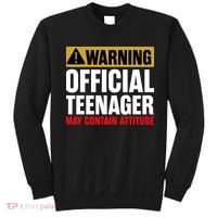 13 Birthday Official Teenager 13yr Math 13th Birthday Sweatshirt thumb 0