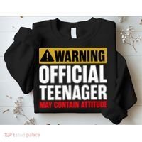 13 Birthday Official Teenager 13yr Math 13th Birthday Sweatshirt thumb 2