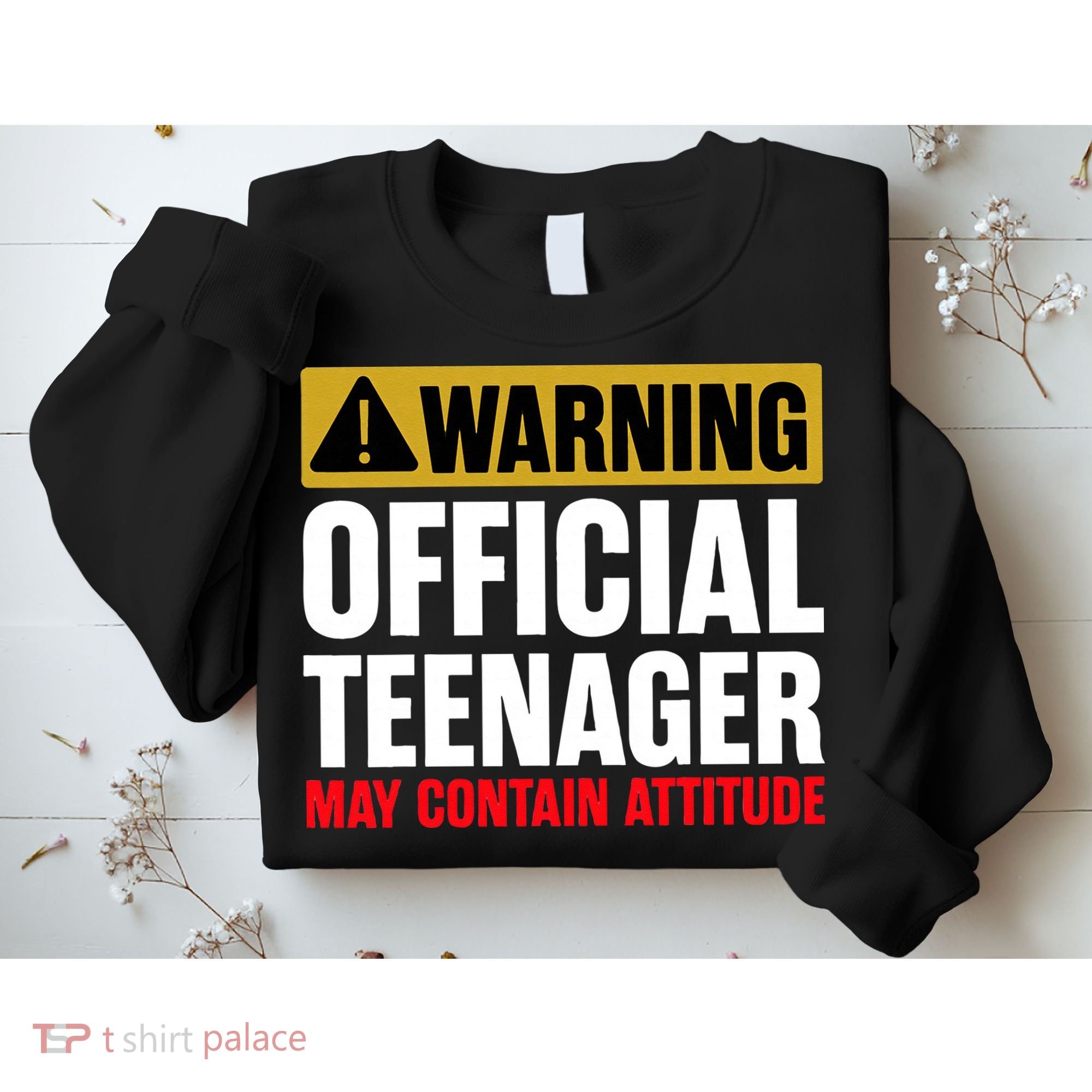 13 Birthday Official Teenager 13yr Math 13th Birthday Sweatshirt