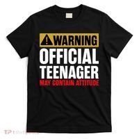 13 Birthday Official Teenager 13yr Math 13th Birthday T-Shirt thumb 0