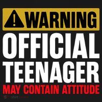 13 Birthday Official Teenager 13yr Math 13th Birthday T-Shirt thumb 7