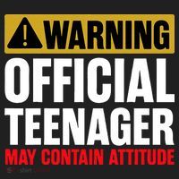 13 Birthday Official Teenager 13yr Math 13th Birthday Beanie thumb 2