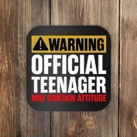 13 Birthday Official Teenager 13yr Math 13th Birthday Coaster thumb 0