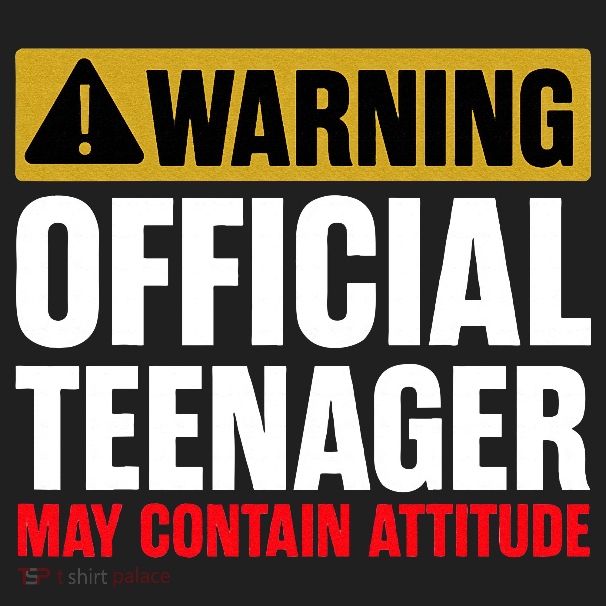 13 Birthday Official Teenager 13yr Math 13th Birthday Hat