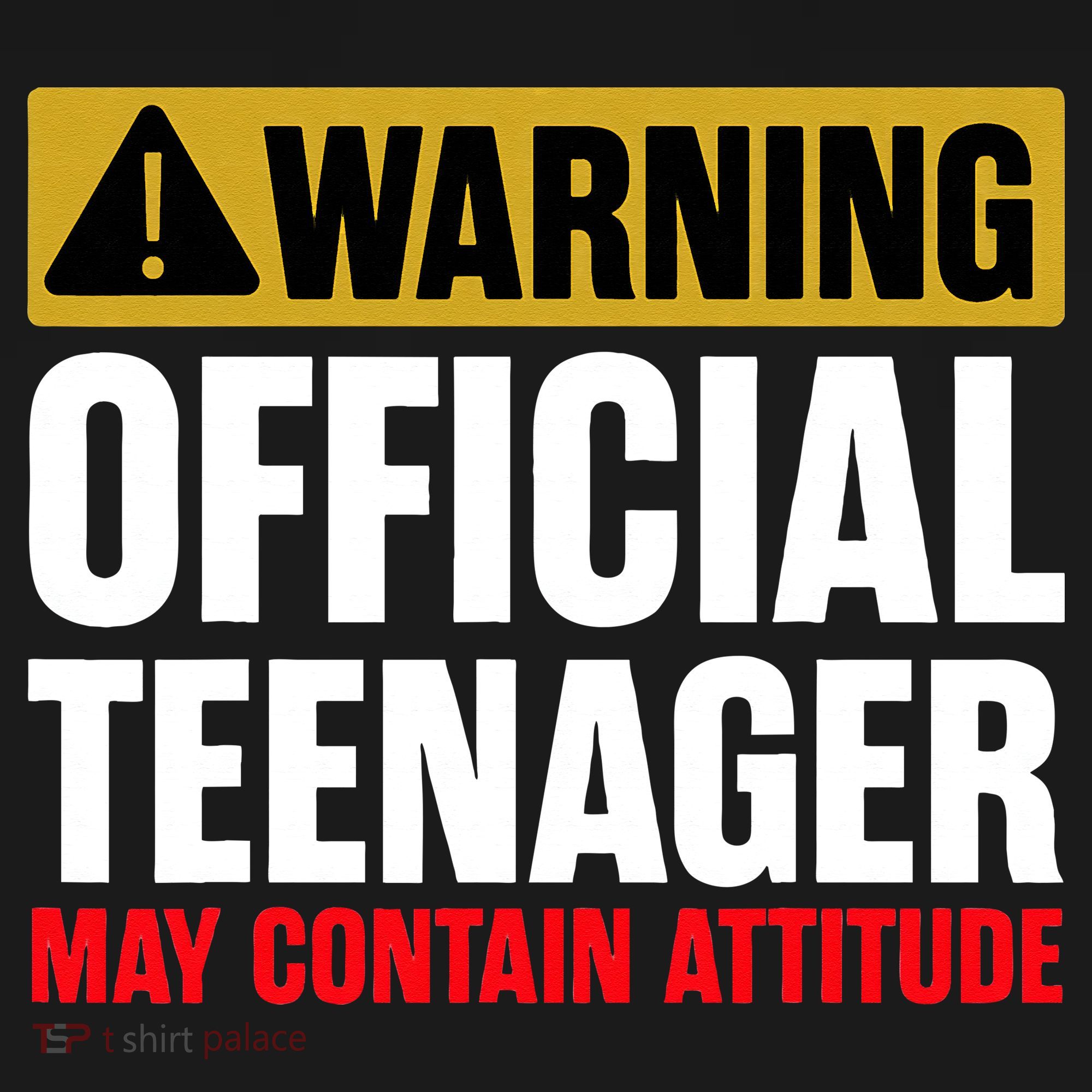 13 Birthday Official Teenager 13yr Math 13th Birthday Visor