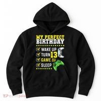 13th Birthday Party Perfect For Gamer 13 Years Old Hoodie thumb 0