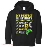 13th Birthday Party Perfect For Gamer 13 Years Old Toddler Hoodie thumb 0