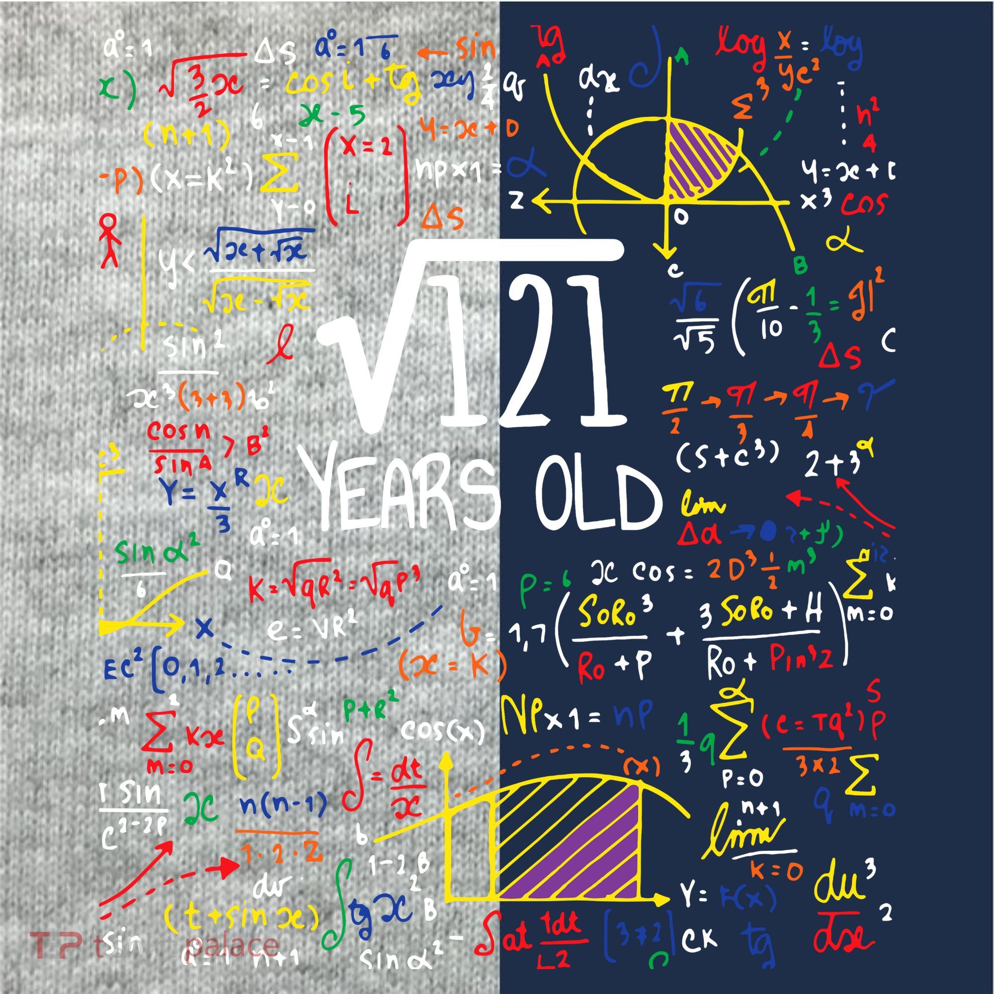 11th Birthday Square Root Of 121 11 Years Old Math Lover Kids Colorblock Raglan Jersey