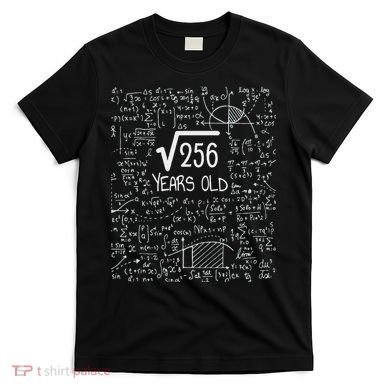 16th Birthday Square Root Of 256 16 Years Old T-Shirt