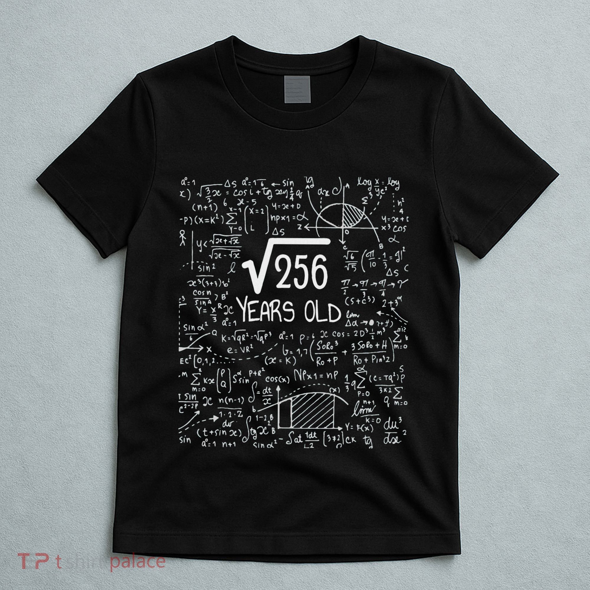 16th Birthday Square Root Of 256 16 Years Old T-Shirt