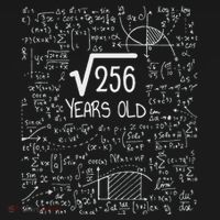 16th Birthday Square Root Of 256 16 Years Old Women's Hoodie thumb 2